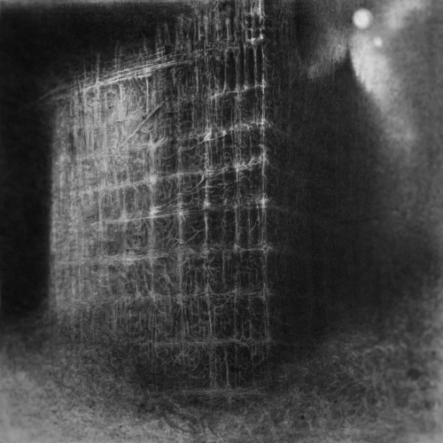 Qaalm : Resilience and Despair